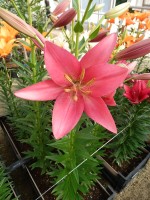 [5116 Ebro DJ No02.JPG]